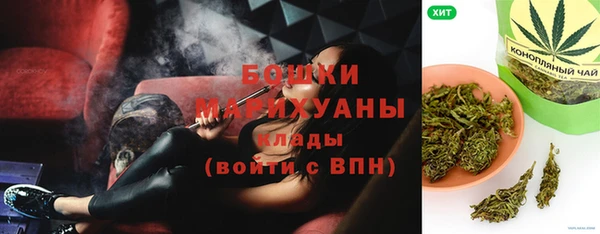 прущие грибы Беломорск