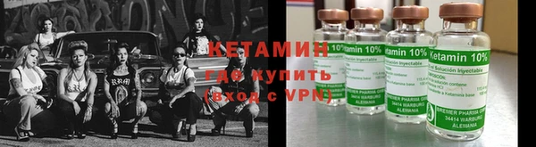 прущие грибы Беломорск