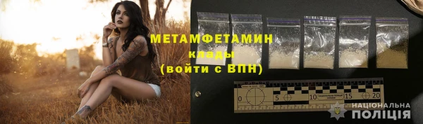 прущие грибы Беломорск