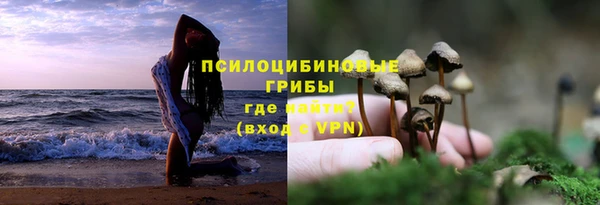 a pvp Белокуриха