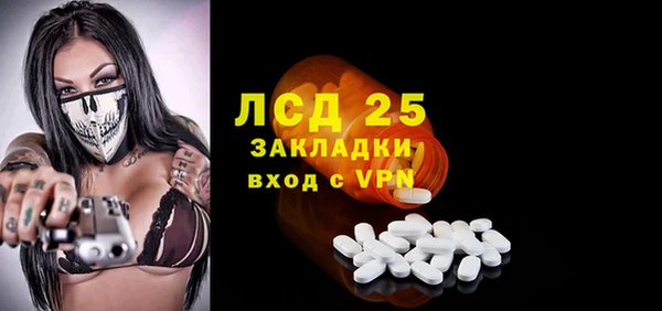 прущие грибы Беломорск