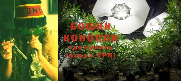 a pvp Белокуриха