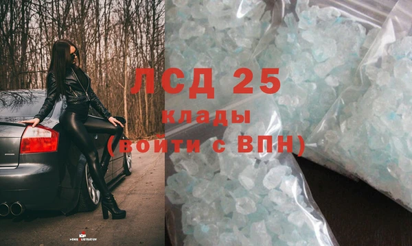 прущие грибы Беломорск