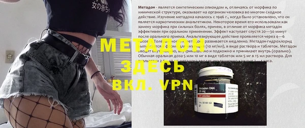 прущие грибы Беломорск