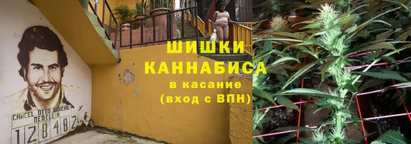 прущие грибы Беломорск