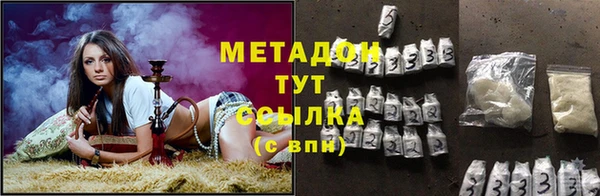 прущие грибы Беломорск