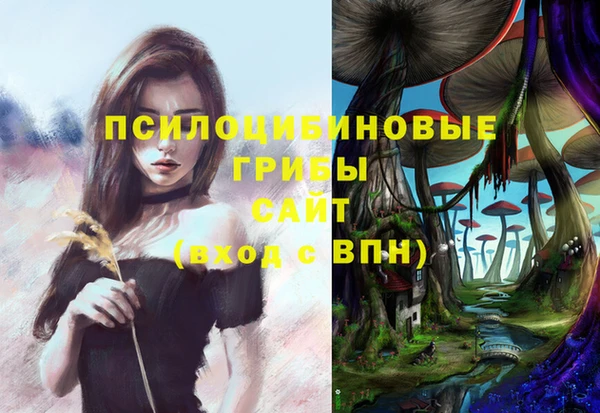 a pvp Белокуриха