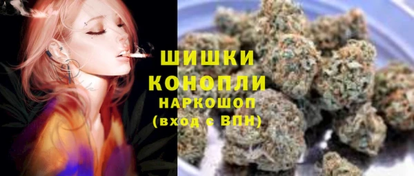 прущие грибы Беломорск