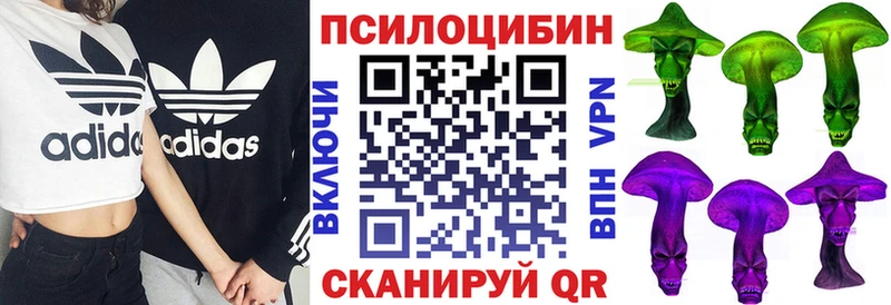 где найти наркотики блэк спрут ссылки Галлюциногенные грибы MAGIC MUSHROOMS Севск